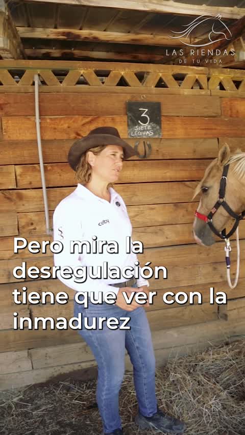 Reel de Marie sobre desregulación e inmadurez